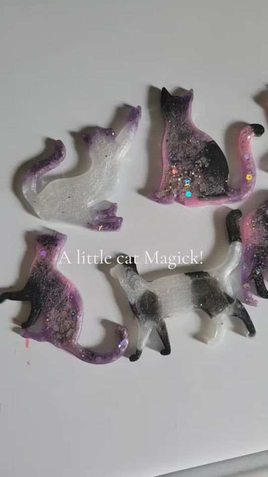 Set of 4 cat magnets